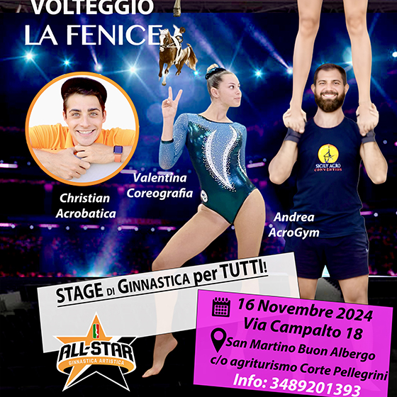 Stage di Ginnastica Artistica a San Martino Buon Albergo(VE)